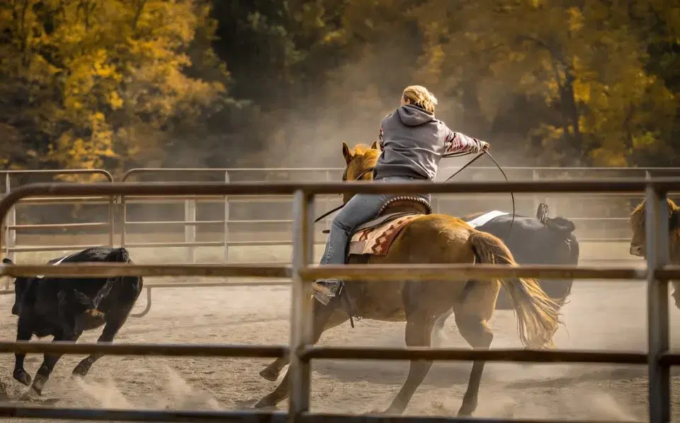 WESTERN WEEKEND and LINE DANCE DINNER