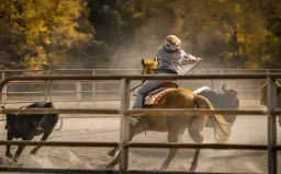WESTERN WEEKEND and LINE DANCE DINNER