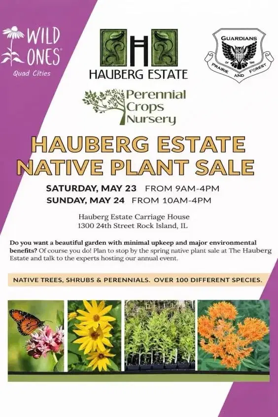 Spring Native Plant Sale @Hauberg Estate (Rock Island, IL) May 23 9am-4pm & May 24 10am-4pm