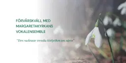 Torsdagstoner- Förvårskväll