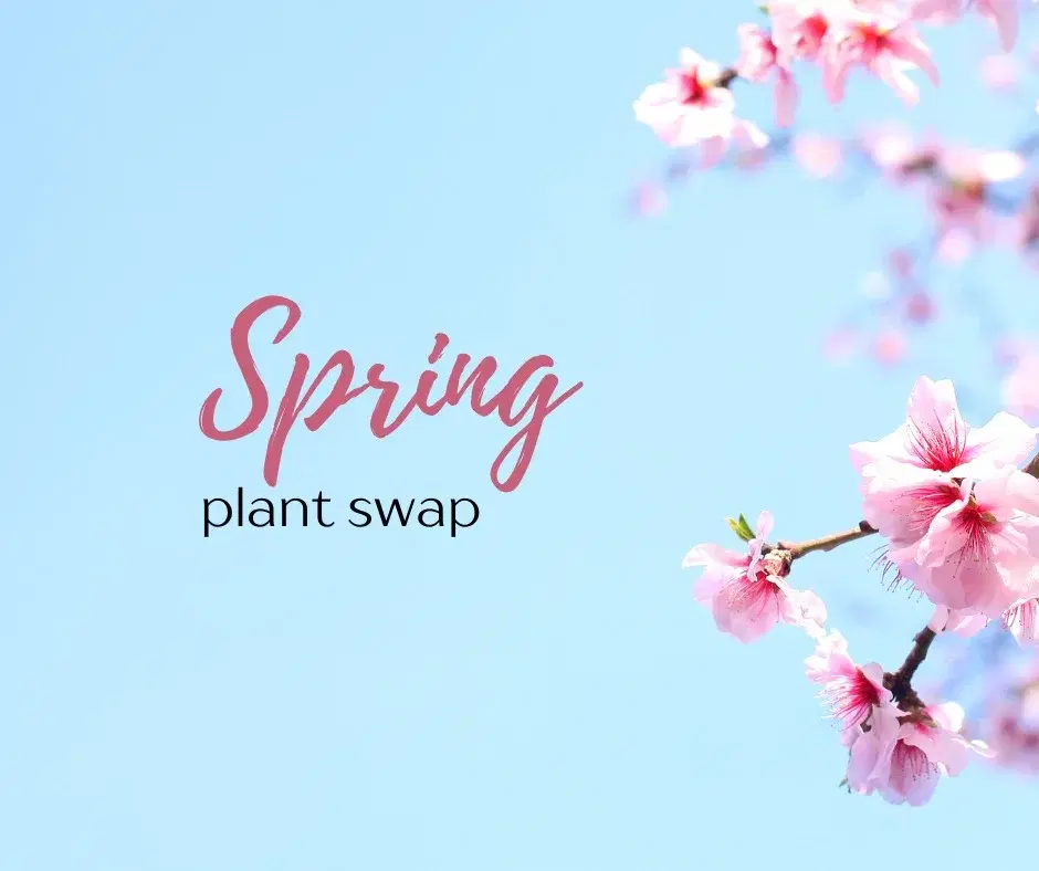 Spring Plant Swap
