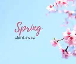 Spring Plant Swap