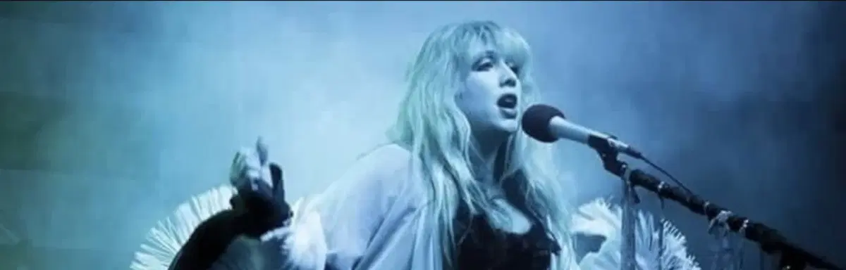 Night bird - A Tribute to Fleetwood Mac & Stevie Nicks