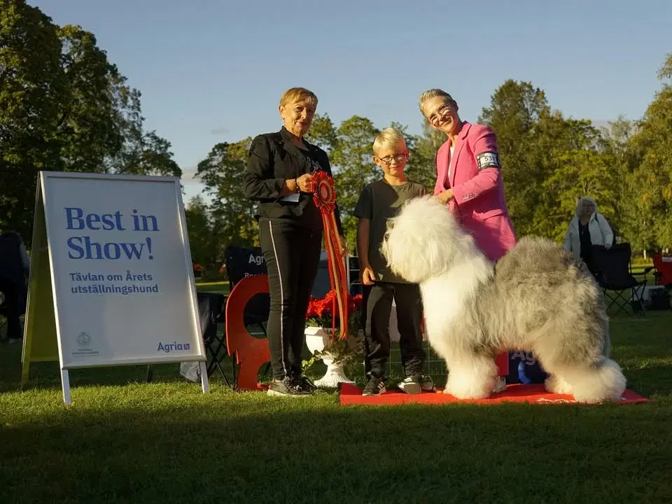 Internationell hundutställning Högbo Bruk