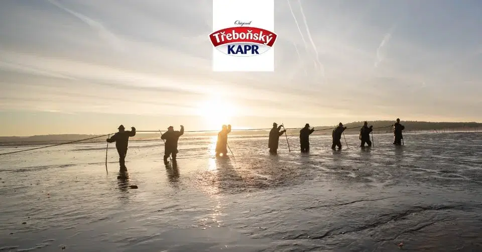 Výlov rybníka Rožmberk 2026