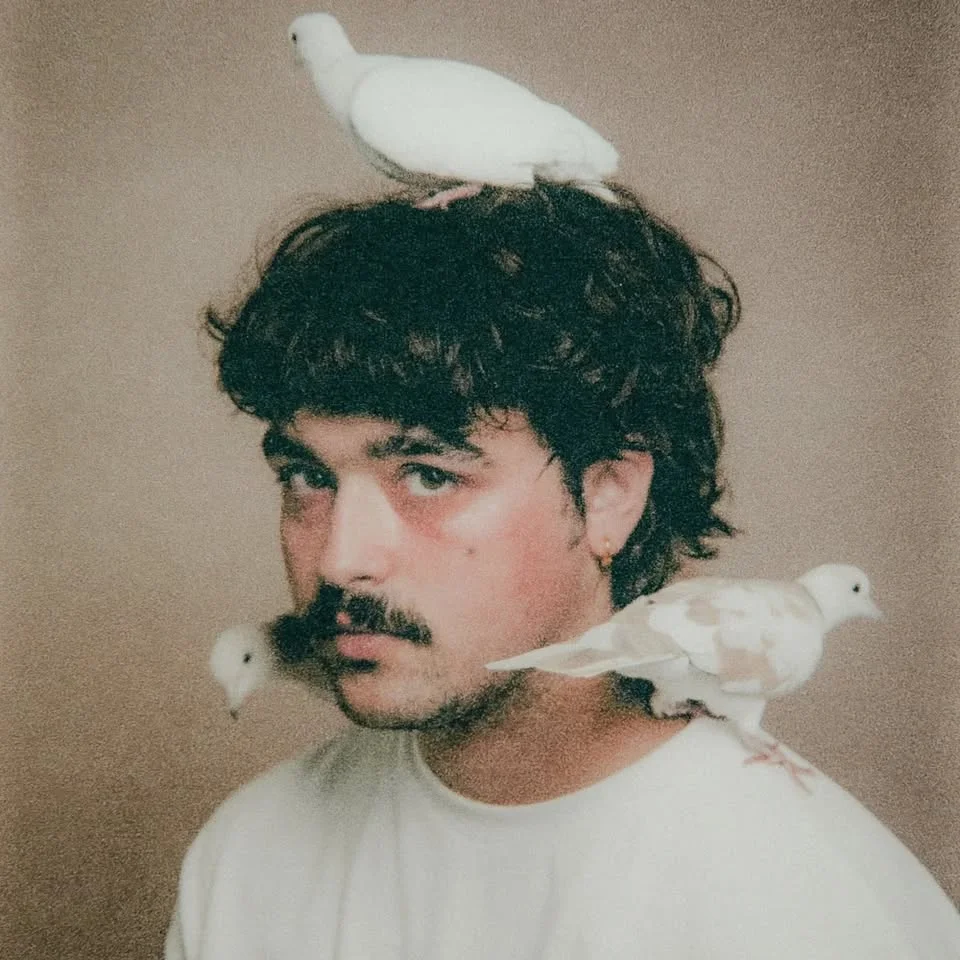 Les Matins des Grands Soirs : Velours Velours. Le Zaricot.