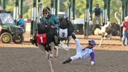 Extreme Racing at Remington Park!