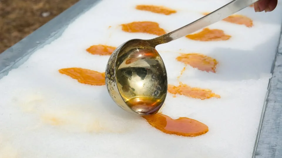 Tire d’érable sur la neige