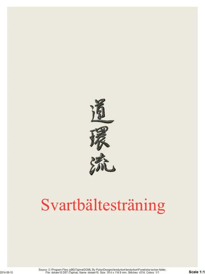 Svartbältesträning Yudanshakai