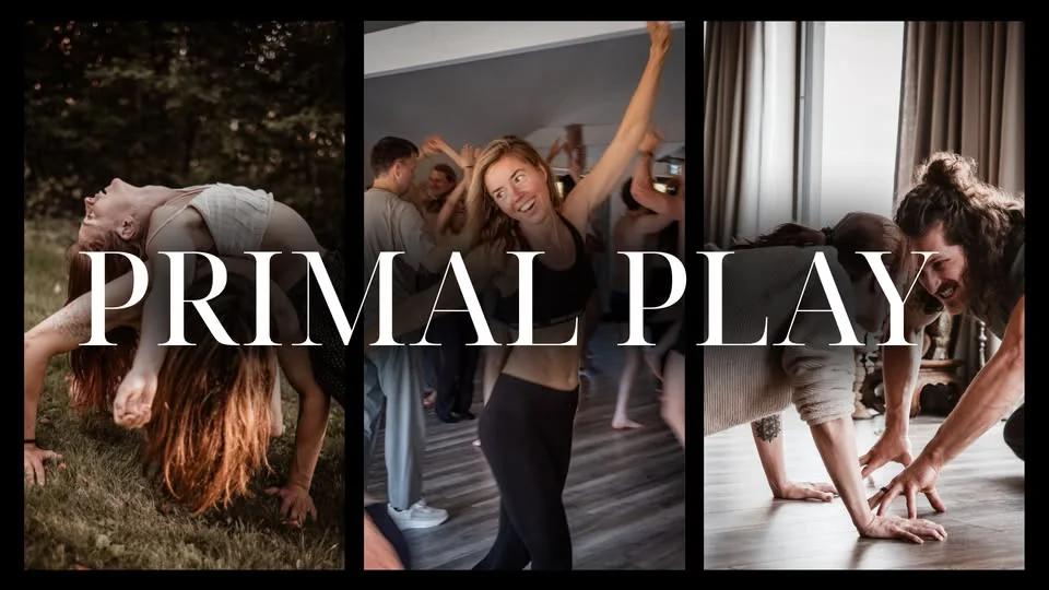 Primal Play Sthlm - explore embodied connection