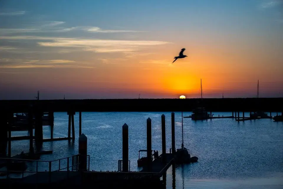 Konsert - Nu är en dag framliden