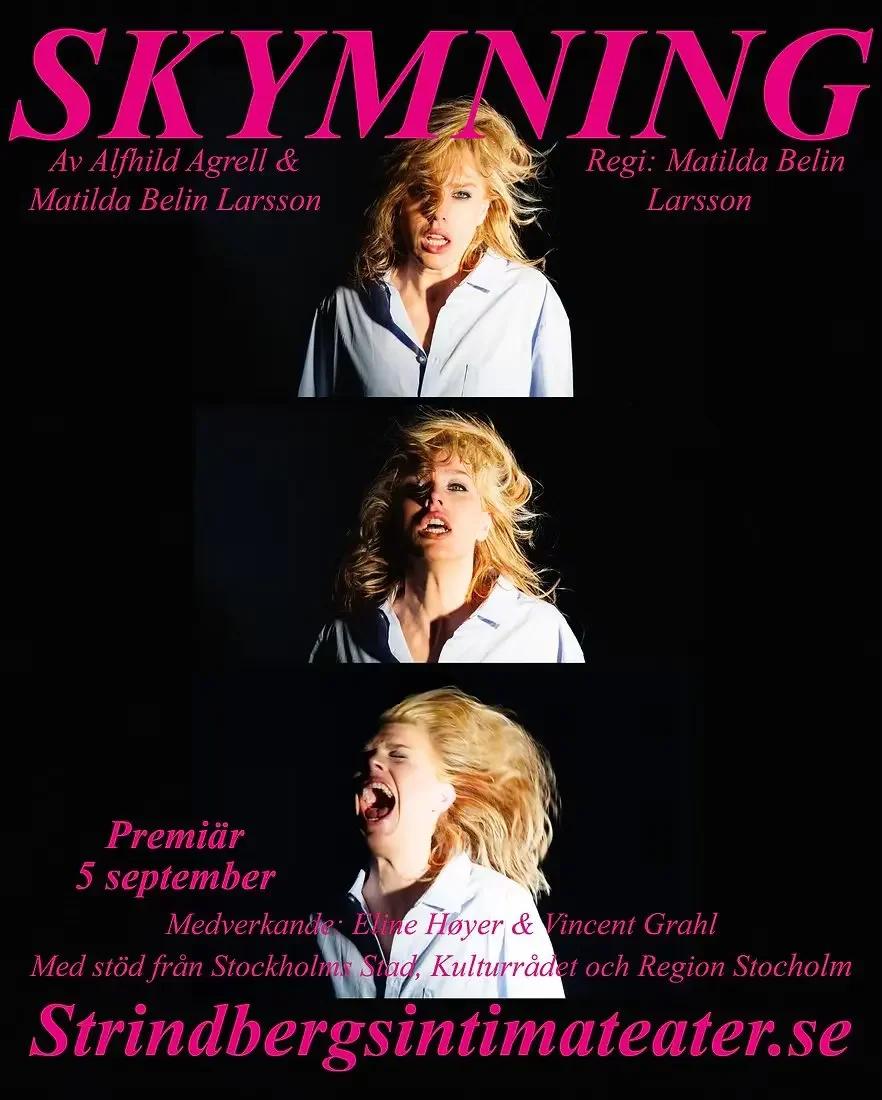 SKYMNING