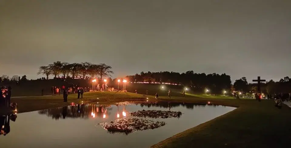 Världsarvet Skogskyrkogården - guidad tur