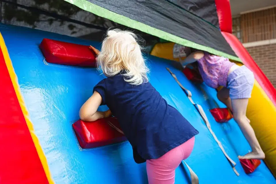 Zeelmania {Week 4} Summer Showdown