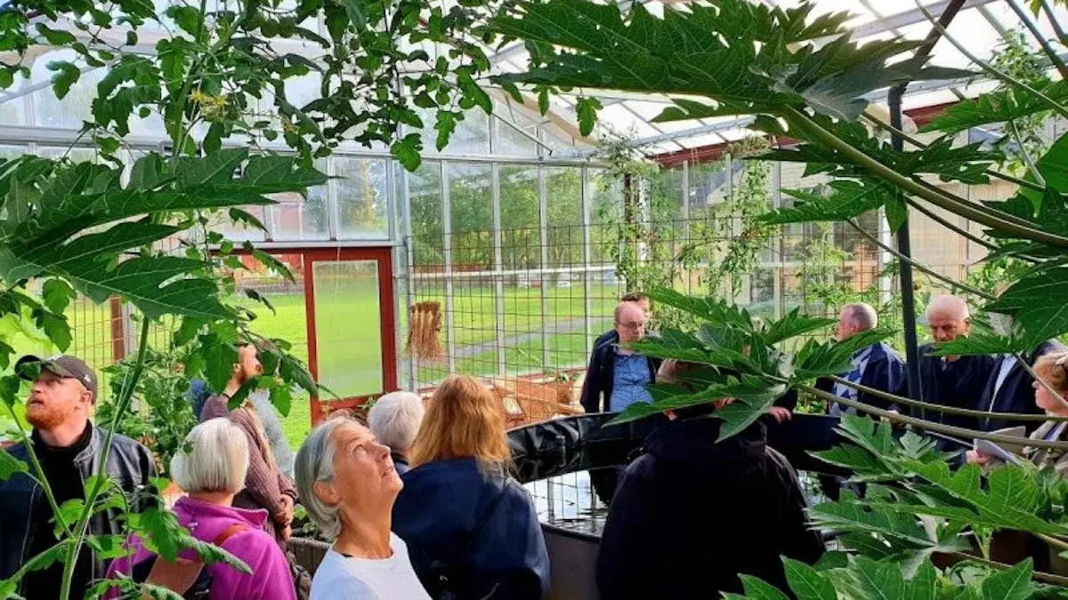 Aquaponik-helgen på Ödevata: Bygg framtiden, skapa nätverk & upptäck framtidens foder