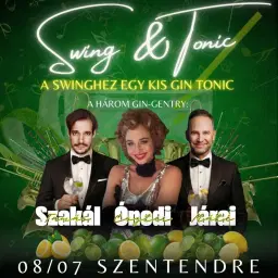 🍸🎶 Swing Tonik. 🎶🍸 - Skanzen