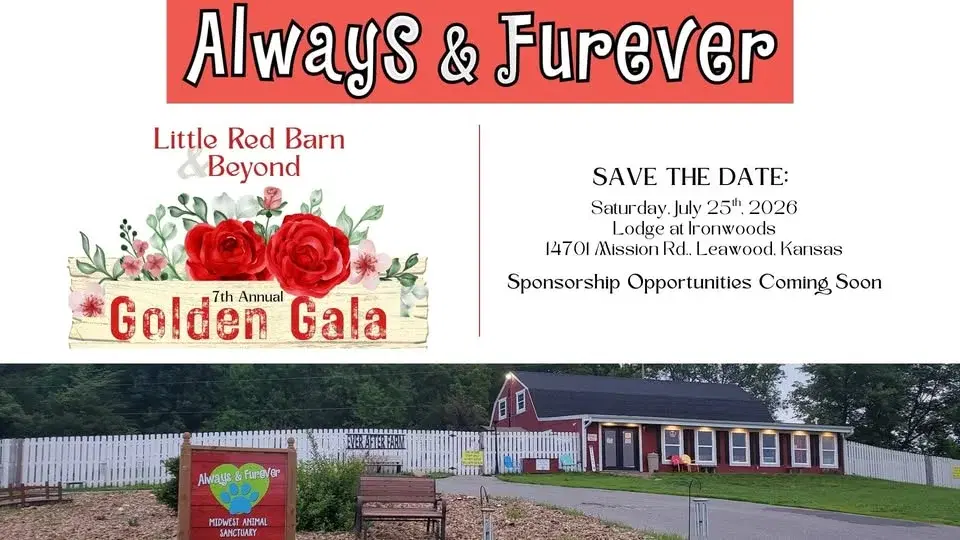 Always & Furever Golden Gala