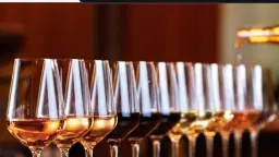 Vinprovning Malmö med ost och vin i kombination 13/6 kl 17.00 år 2026