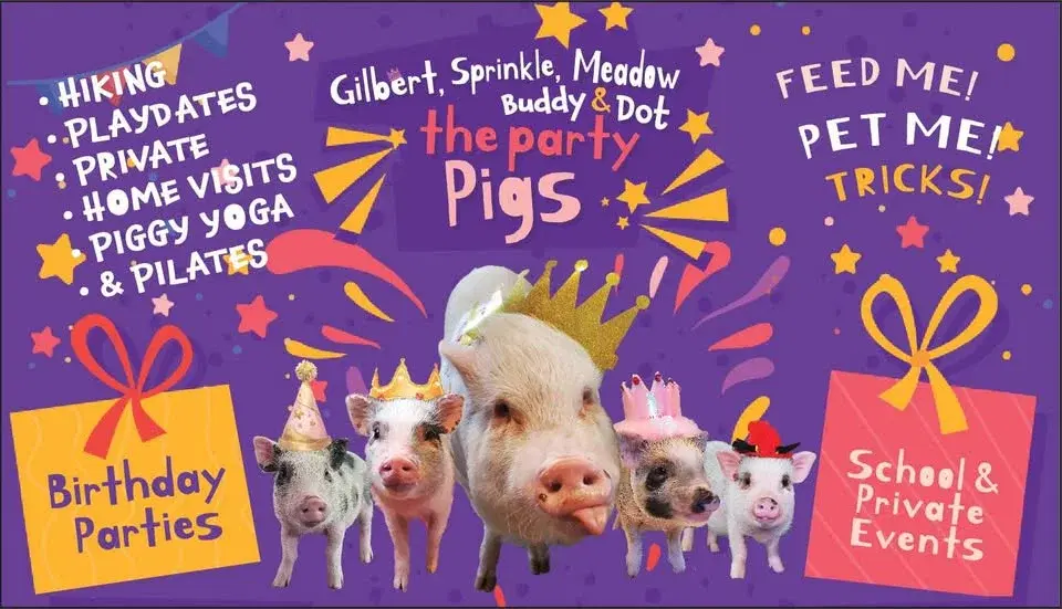 đ· Piggy Playdate at the Cafe! đ·