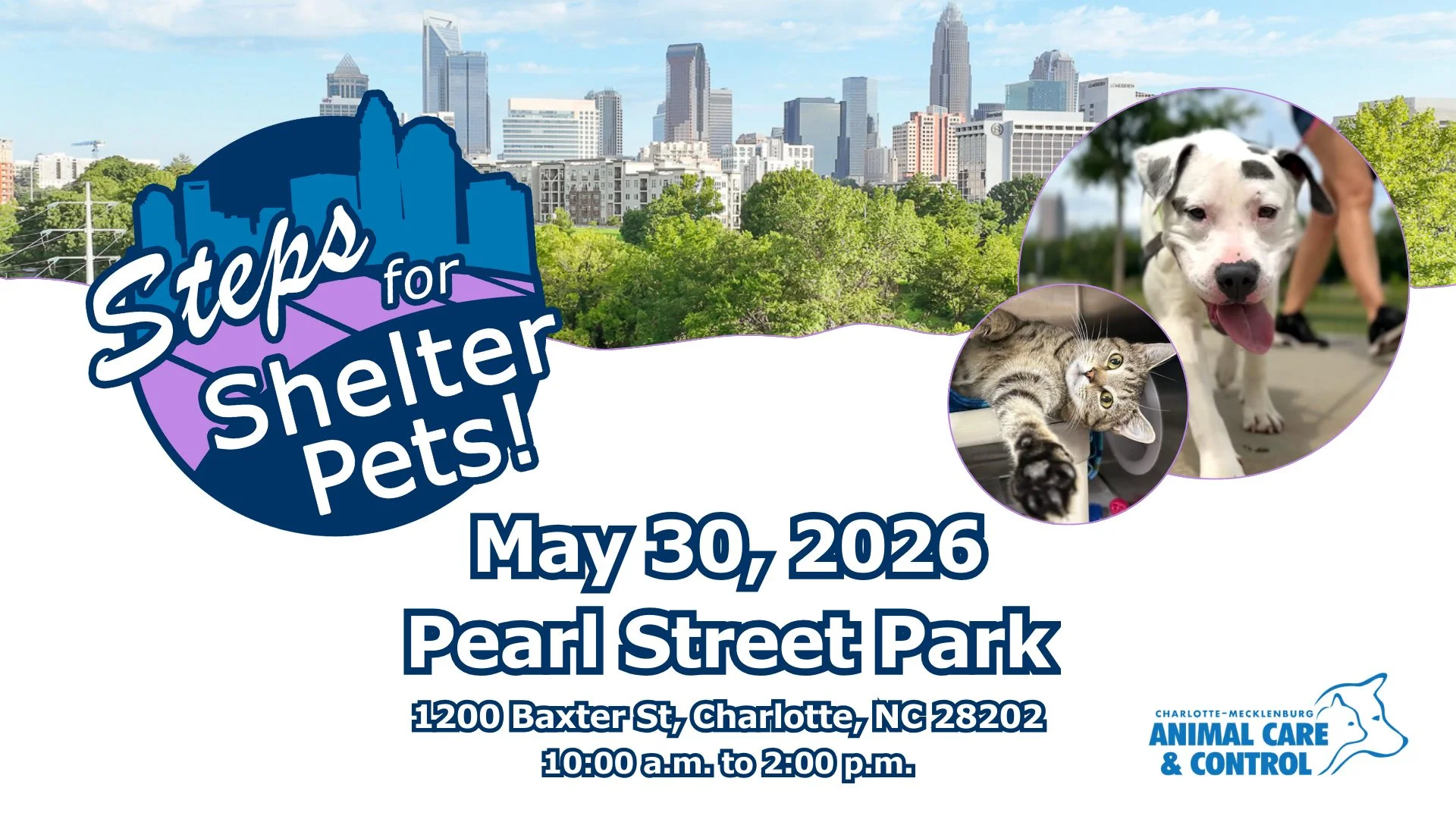 Steps for Shelter Pets