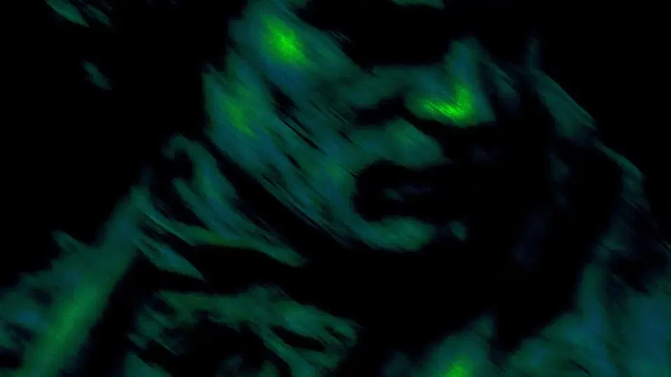 Beethoven's Symphony No. 4