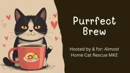 Purrfect Brew 2026