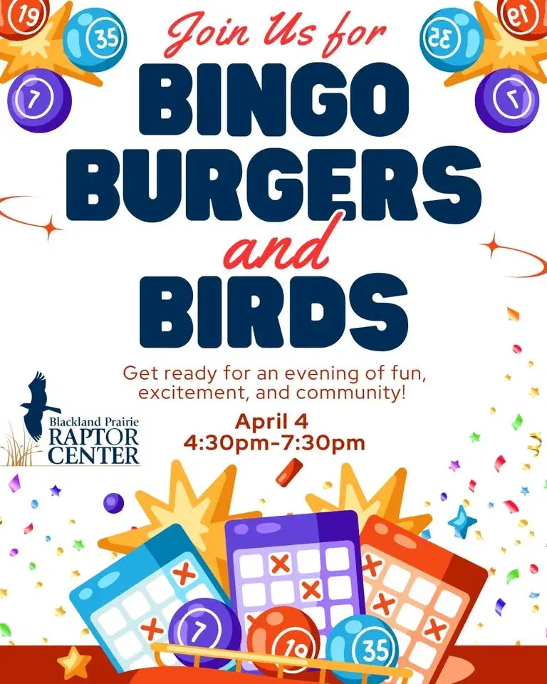 Bingo, Burgers, and Birds