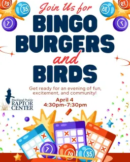 Bingo, Burgers, and Birds