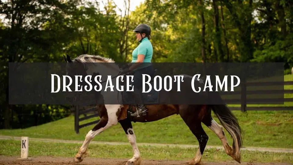 Dressage Boot Camp Clinic