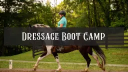 Dressage Boot Camp Clinic