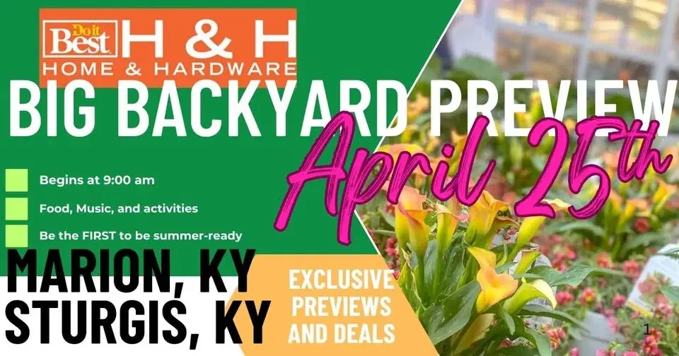 Big Backyard Preview