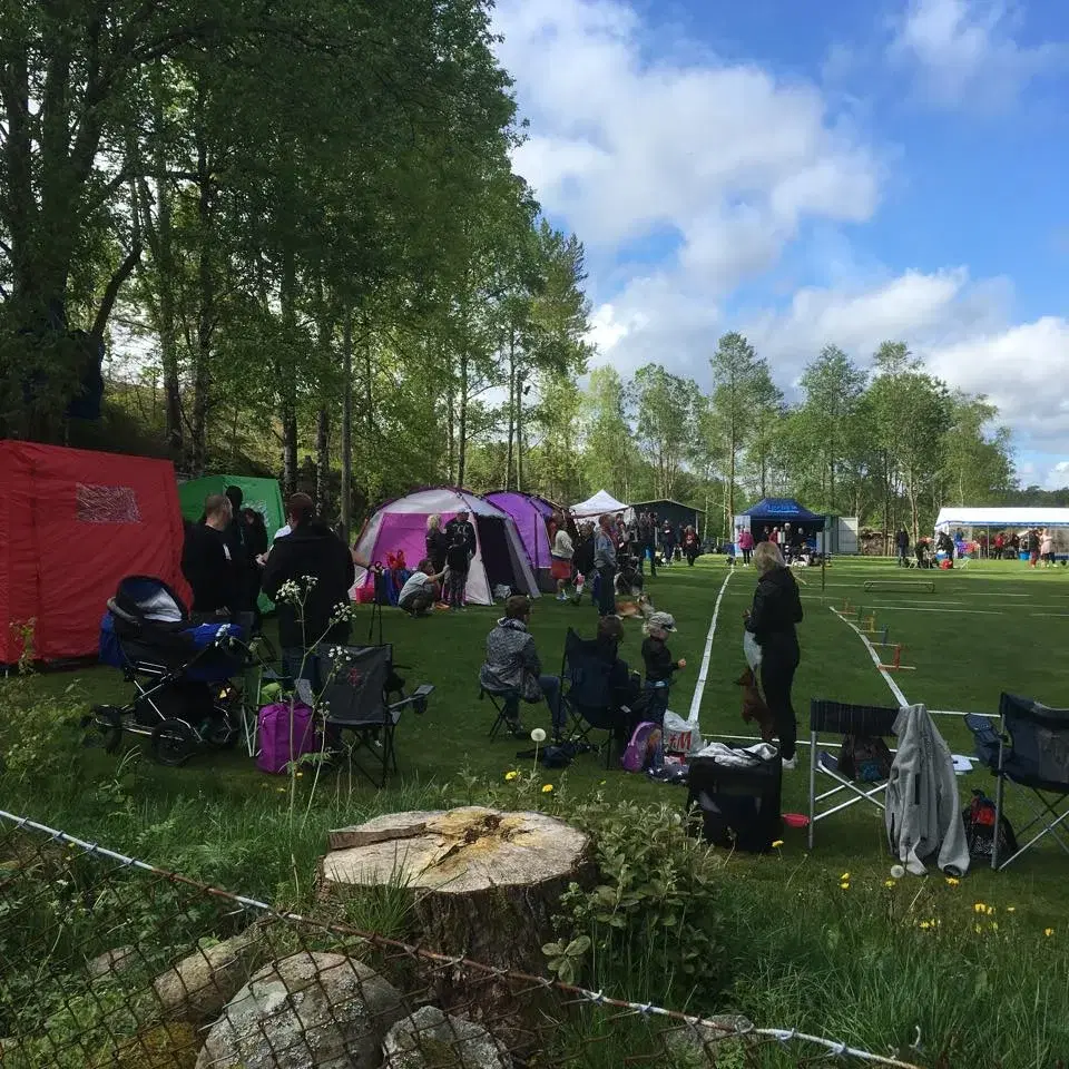 Inoff Renrasiga HundutstĂ€llning đ