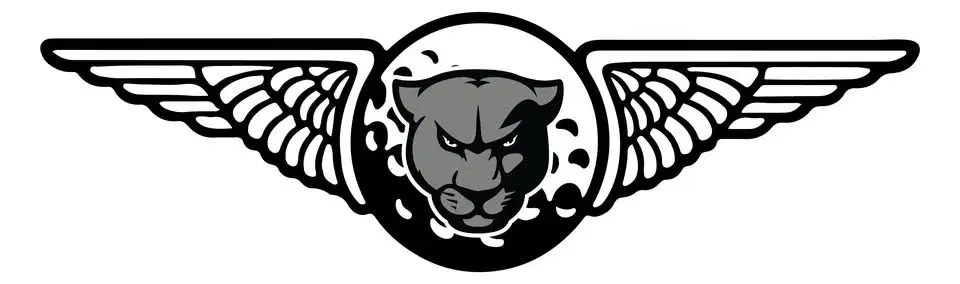 Micah "Panther" Brown Memorial Darts for Kids Golf Scramble