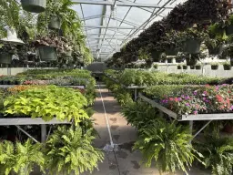 12th Annual Spring Plant Sale