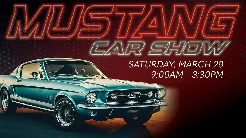 Mustang Car Show