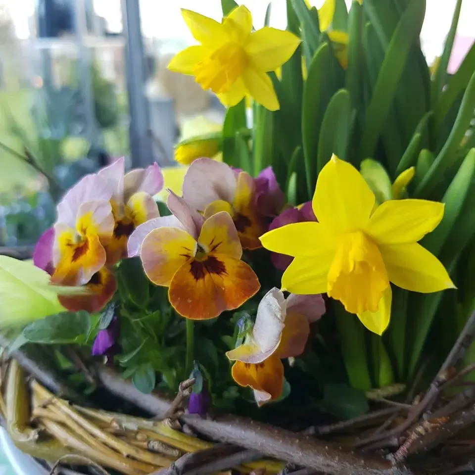 Blomsterpyssel PÅSK