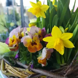 Blomsterpyssel PÅSK