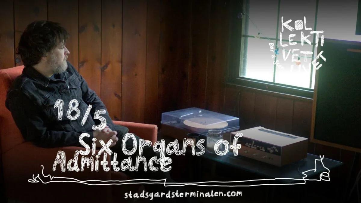 🎸 Six Organs of Admittance @ Kollektivet Livet 🎶