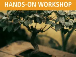 Bonsai for Beginners