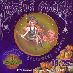 The Hocus Pocus Market