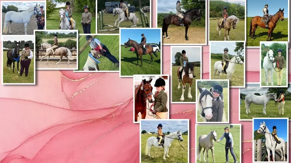 South Derbyshire Saddle Club Fun Day