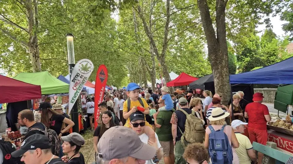 XIV. Nagymarosi Csípős Fesztivál