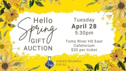 Hello Spring Gift Auction