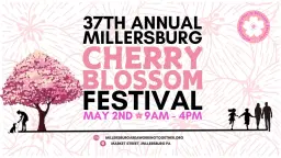 37th Annual Cherry Blossom Festival