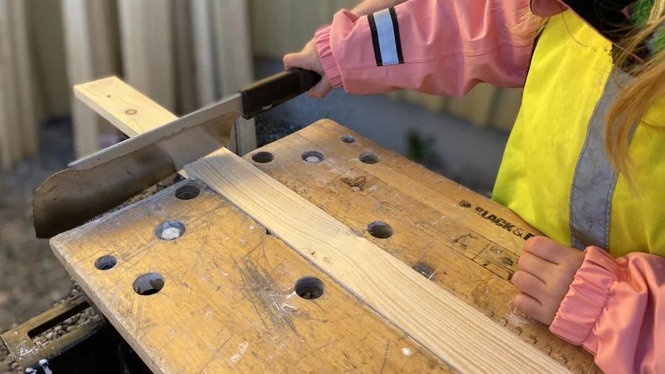 Djurfarmen â Bygg djur av trĂ€bitar đŠđ ïž