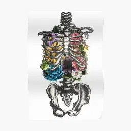 Herbal Remedies for Orthopedic Wellness