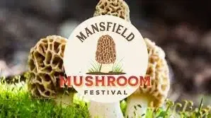 Mansfield Village Mushroom Festival & Car Show