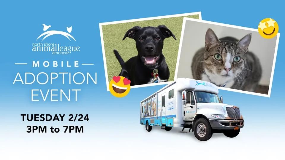 Meet Your New Best Friend at our MOBILE PET ADOPTION EVENT!