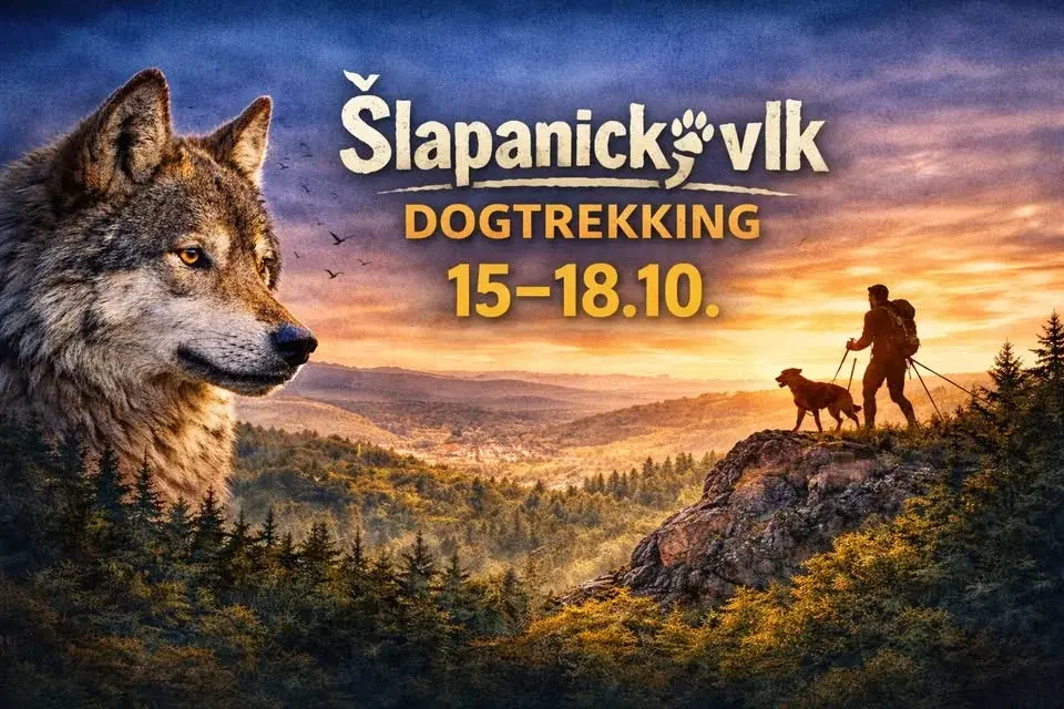 Dogtrekking Šlapanický vlk 2026
