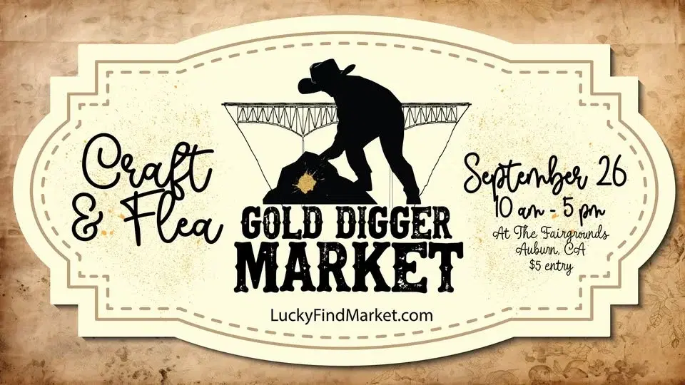 Gold Digger Market